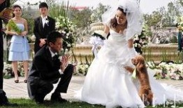 孙宁天涯爆料最新动态图,揭秘幕后真相，动态图曝光惊人内幕