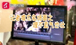 奇葩吃瓜娱乐,奇葩吃瓜大揭秘