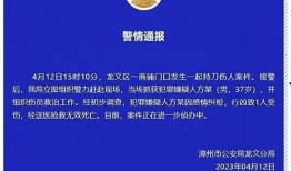 桂城媒体爆料案件最新,最新案件进展，疑云重重引关注